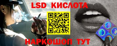 твердый Новодвинск