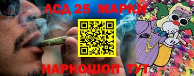 шишки Новокубанск
